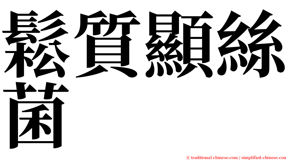 鬆質顯絲菌 serif font