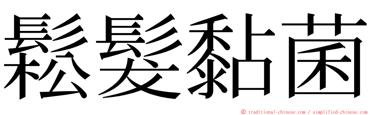 鬆髮黏菌 ming font