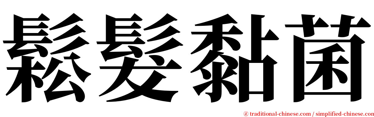 鬆髮黏菌 serif font