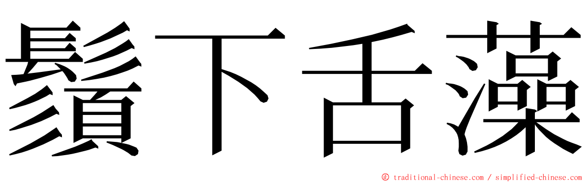 鬚下舌藻 ming font