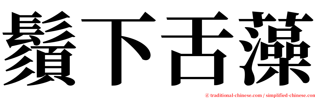 鬚下舌藻 serif font