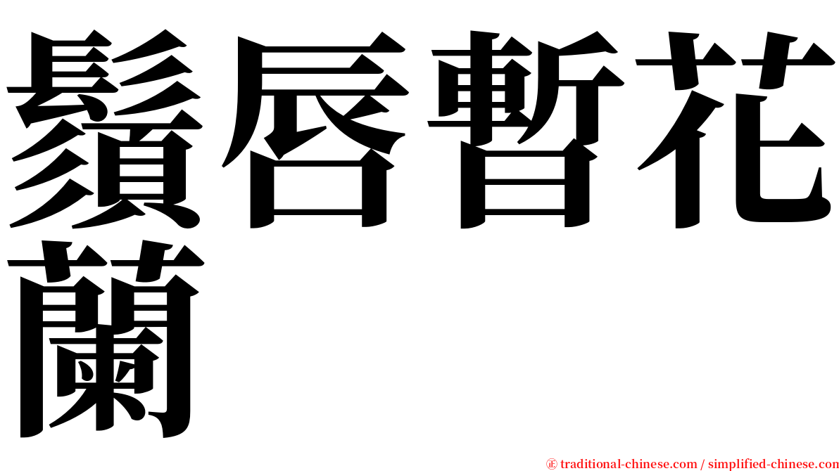 鬚唇暫花蘭 serif font