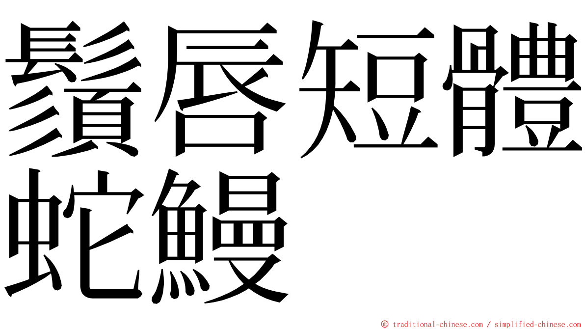 鬚唇短體蛇鰻 ming font