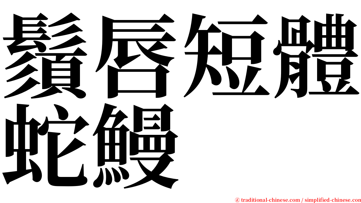 鬚唇短體蛇鰻 serif font