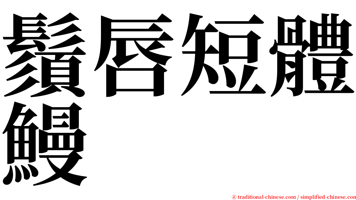 鬚唇短體鰻 serif font