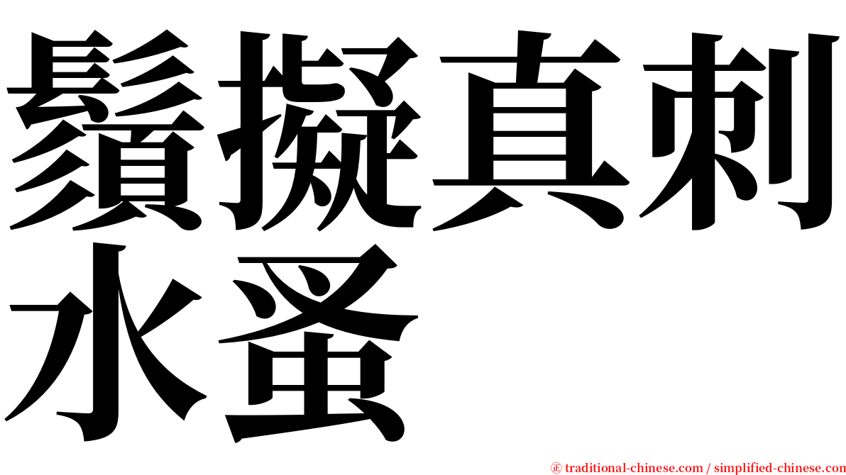 鬚擬真刺水蚤 serif font