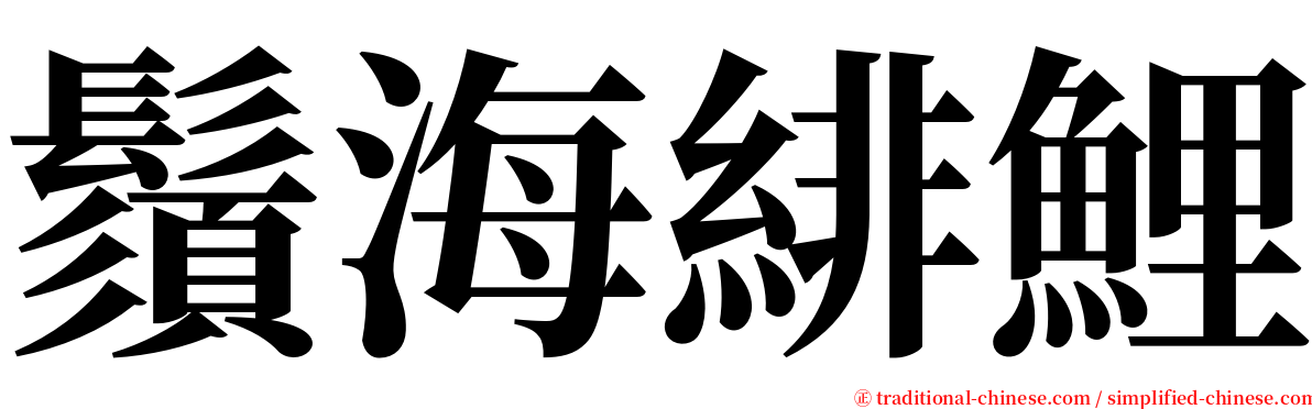 鬚海緋鯉 serif font