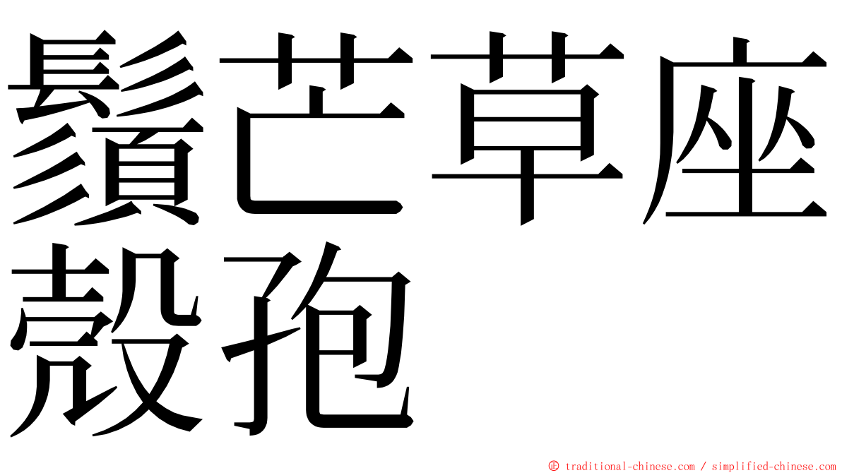 鬚芒草座殼孢 ming font