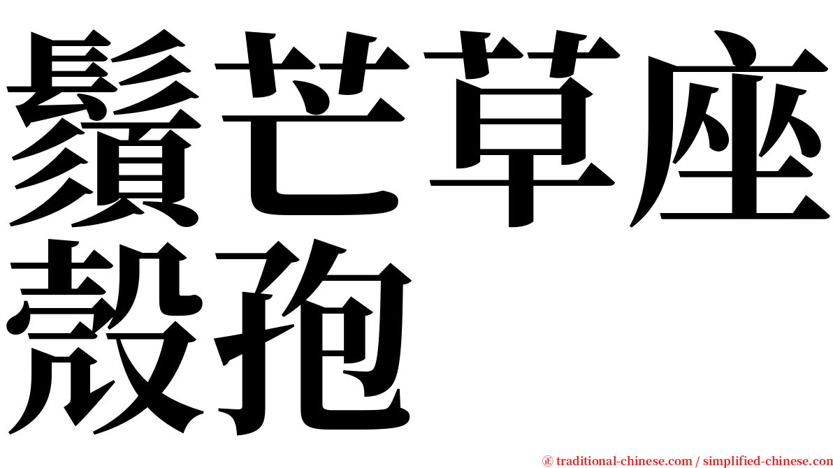 鬚芒草座殼孢 serif font