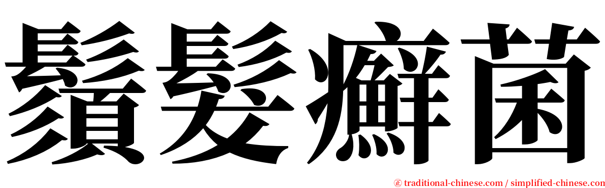 鬚髮癬菌 serif font