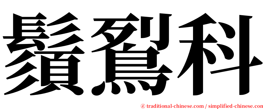 鬚鴷科 serif font