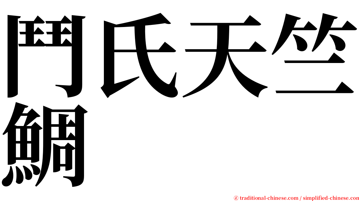 鬥氏天竺鯛 serif font
