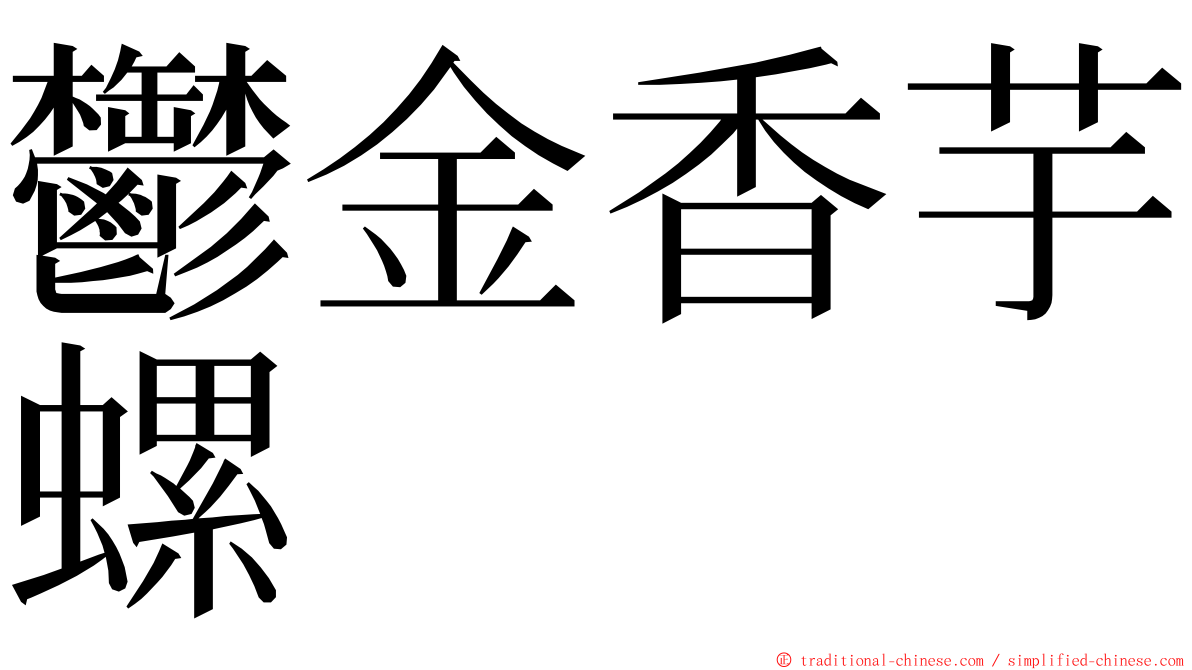 鬱金香芋螺 ming font