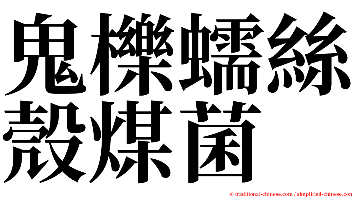 鬼櫟蠕絲殼煤菌 serif font