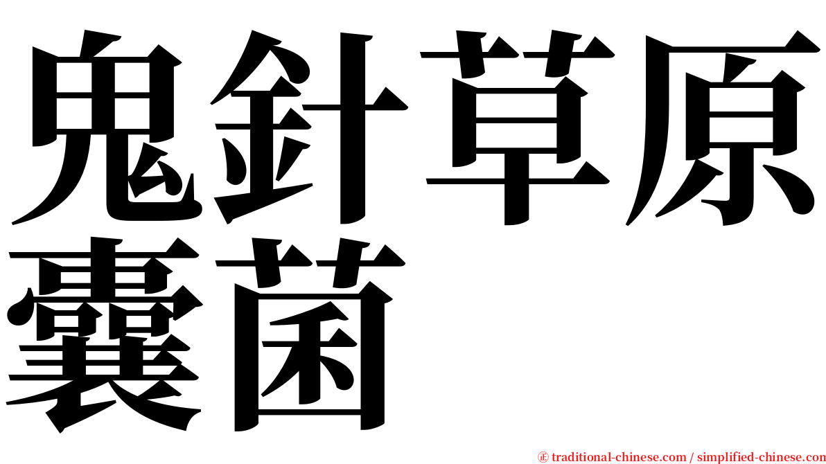 鬼針草原囊菌 serif font