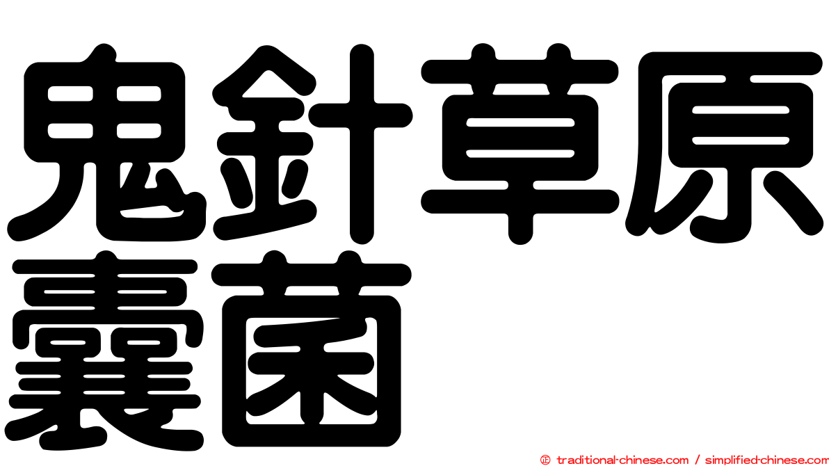 鬼針草原囊菌