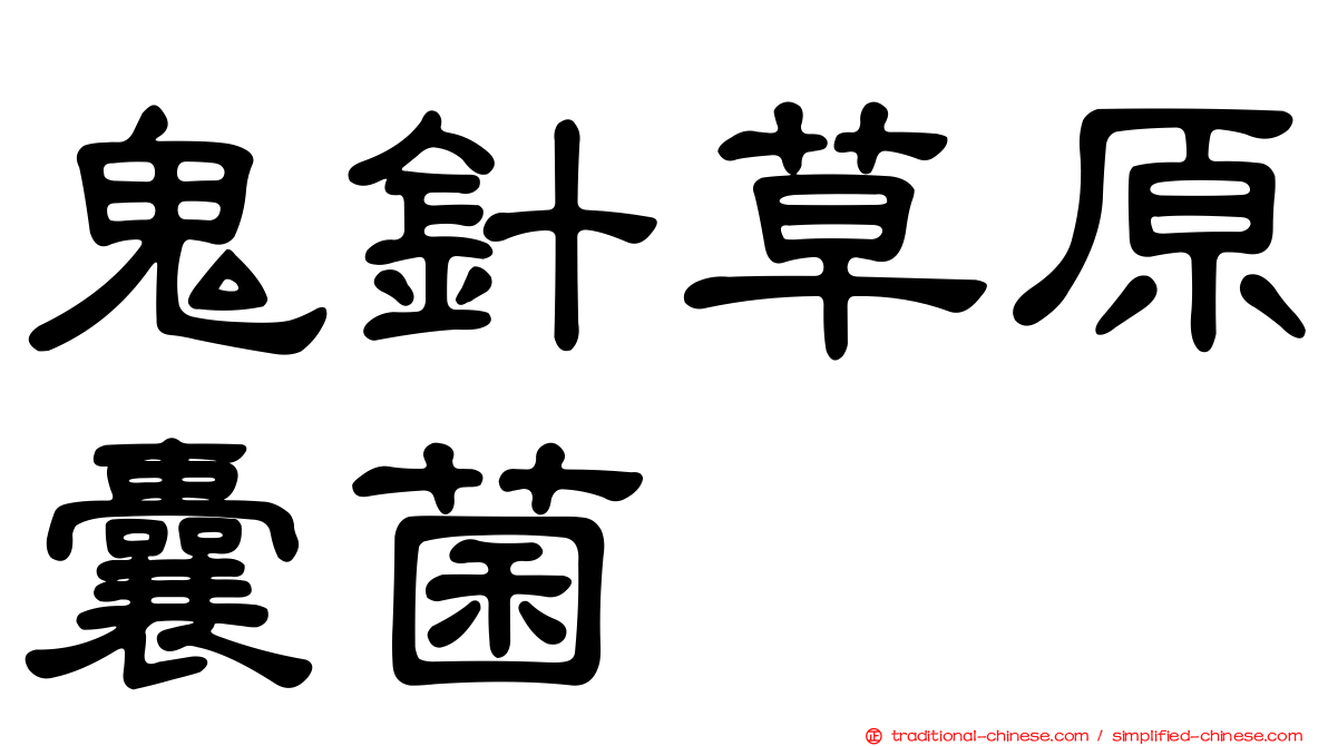 鬼針草原囊菌