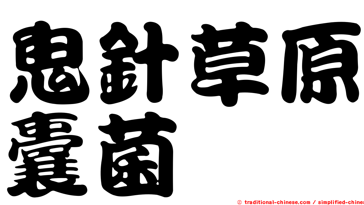 鬼針草原囊菌