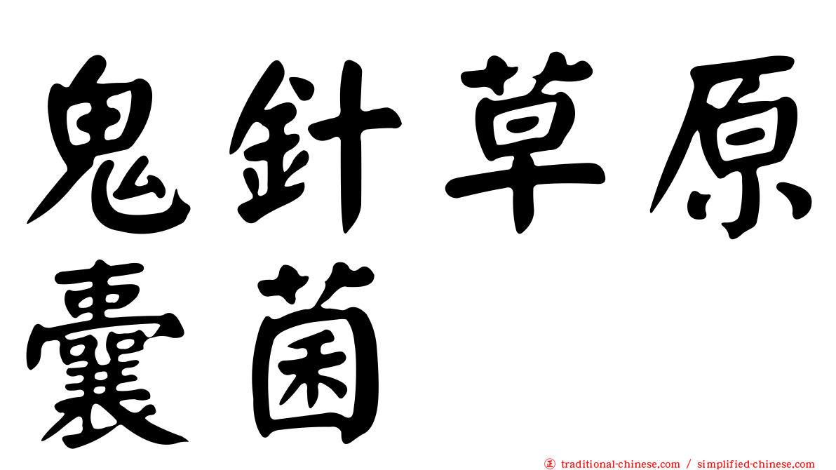 鬼針草原囊菌