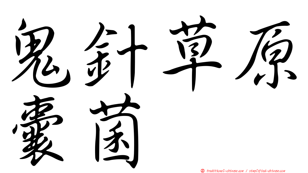 鬼針草原囊菌