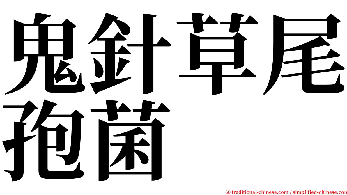 鬼針草尾孢菌 serif font