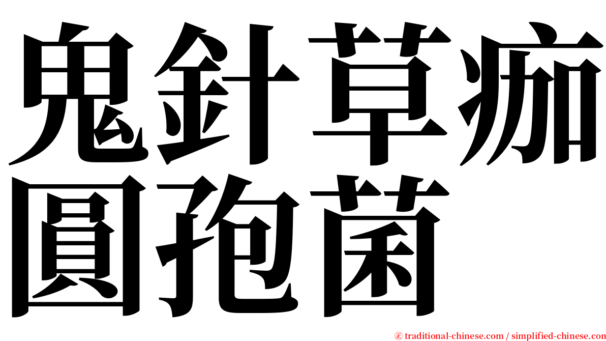 鬼針草痂圓孢菌 serif font