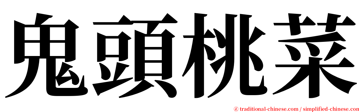 鬼頭桃菜 serif font