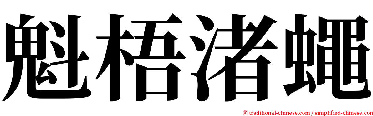 魁梧渚蠅 serif font