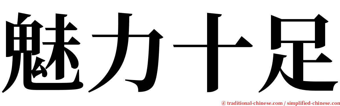 魅力十足 serif font