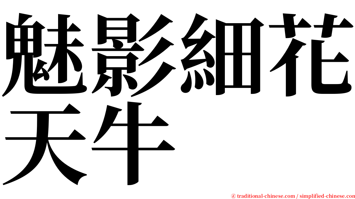 魅影細花天牛 serif font