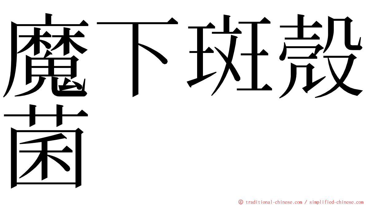 魔下斑殼菌 ming font