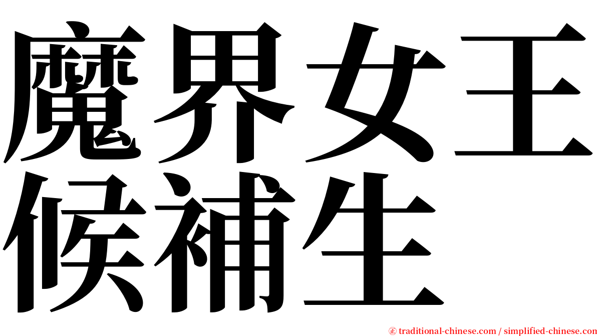 魔界女王候補生 serif font