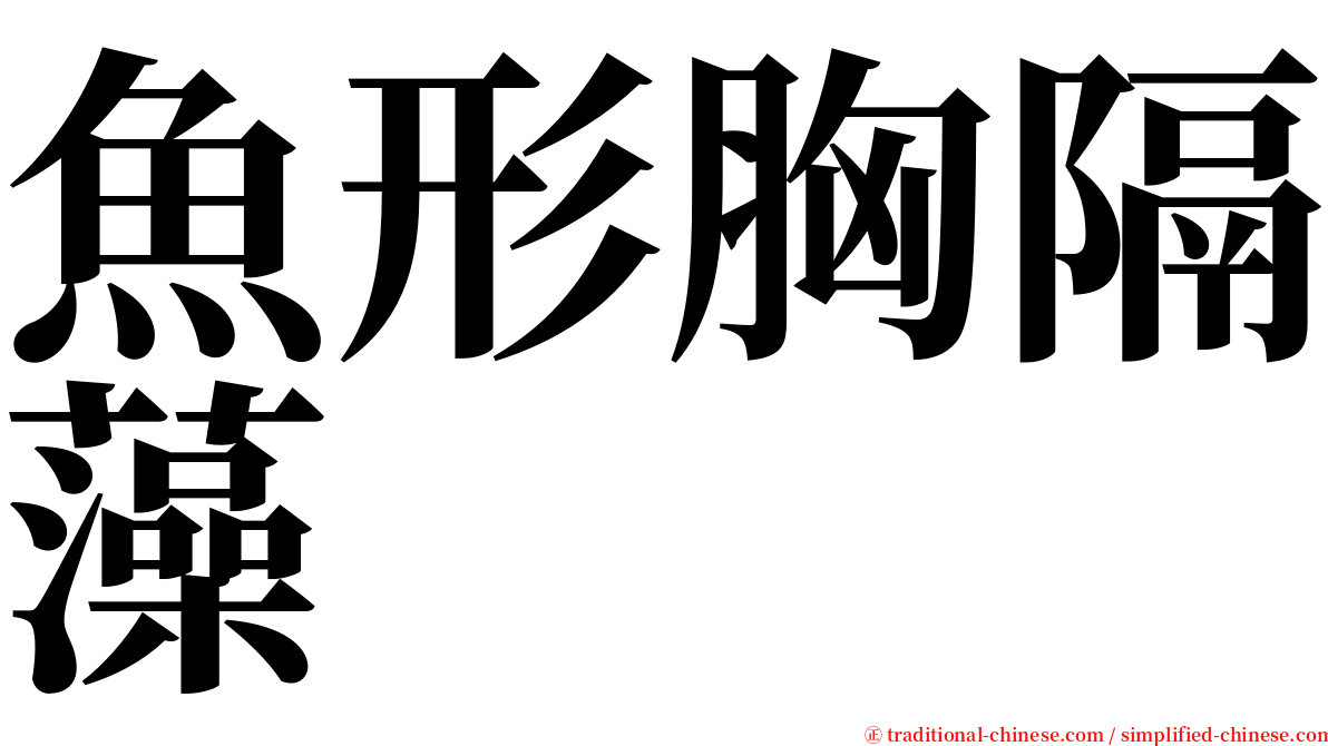 魚形胸隔藻 serif font