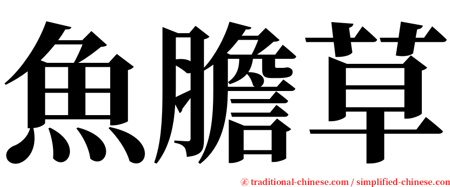 魚膽草 serif font