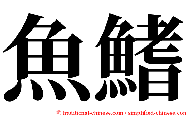 魚鰭 serif font