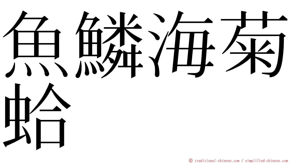 魚鱗海菊蛤 ming font