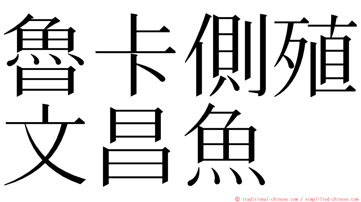 魯卡側殖文昌魚 ming font