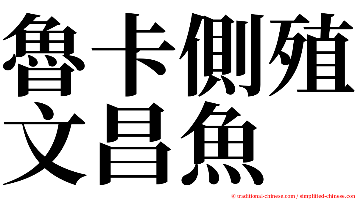 魯卡側殖文昌魚 serif font