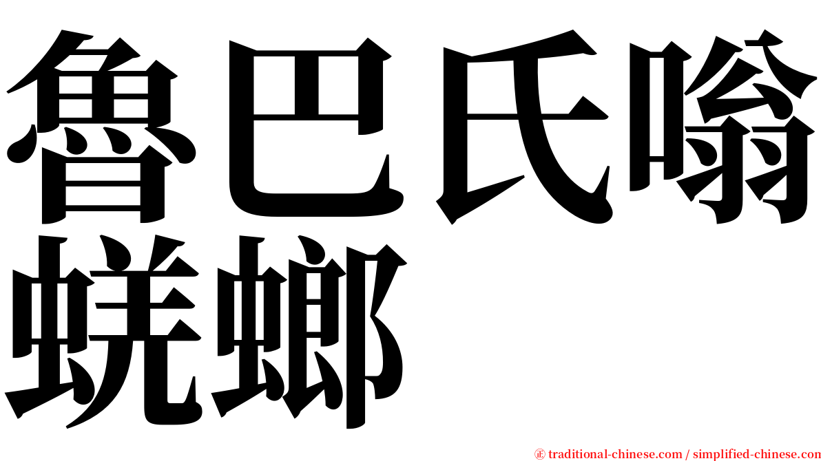 魯巴氏嗡蜣螂 serif font