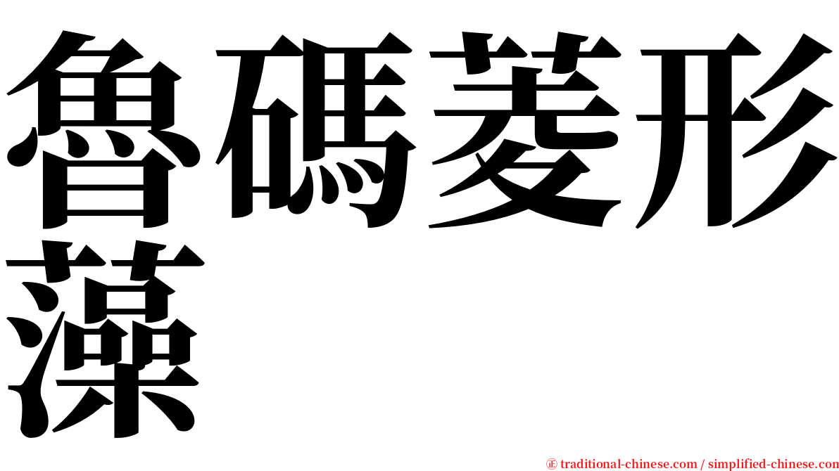 魯碼菱形藻 serif font