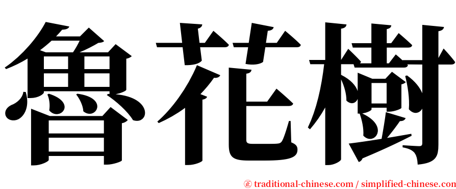 魯花樹 serif font