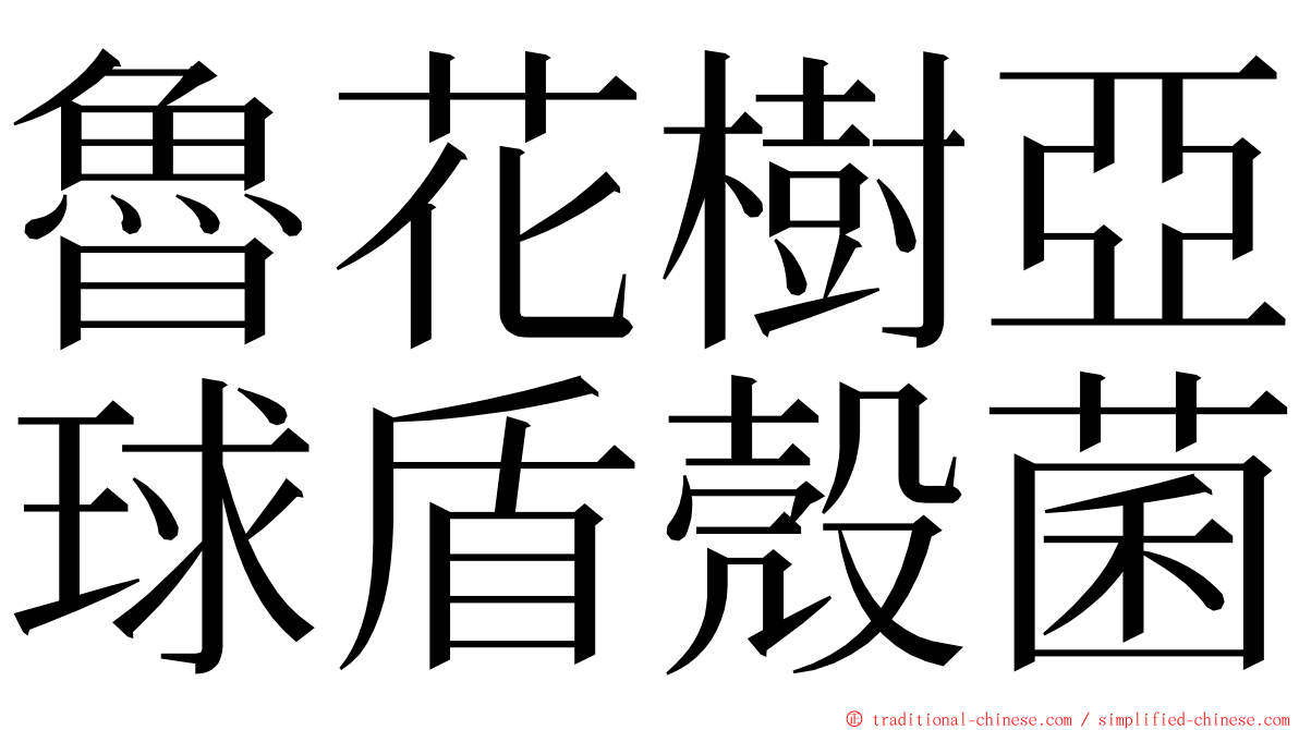 魯花樹亞球盾殼菌 ming font