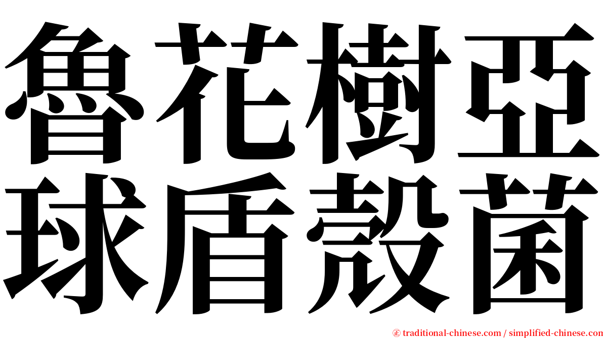 魯花樹亞球盾殼菌 serif font