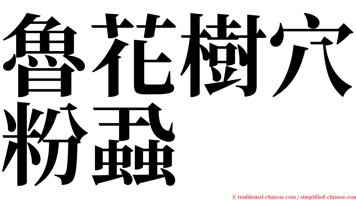 魯花樹穴粉蝨 serif font