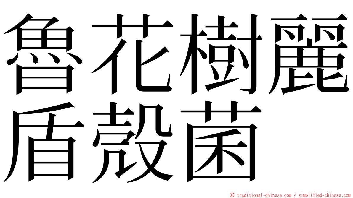 魯花樹麗盾殼菌 ming font