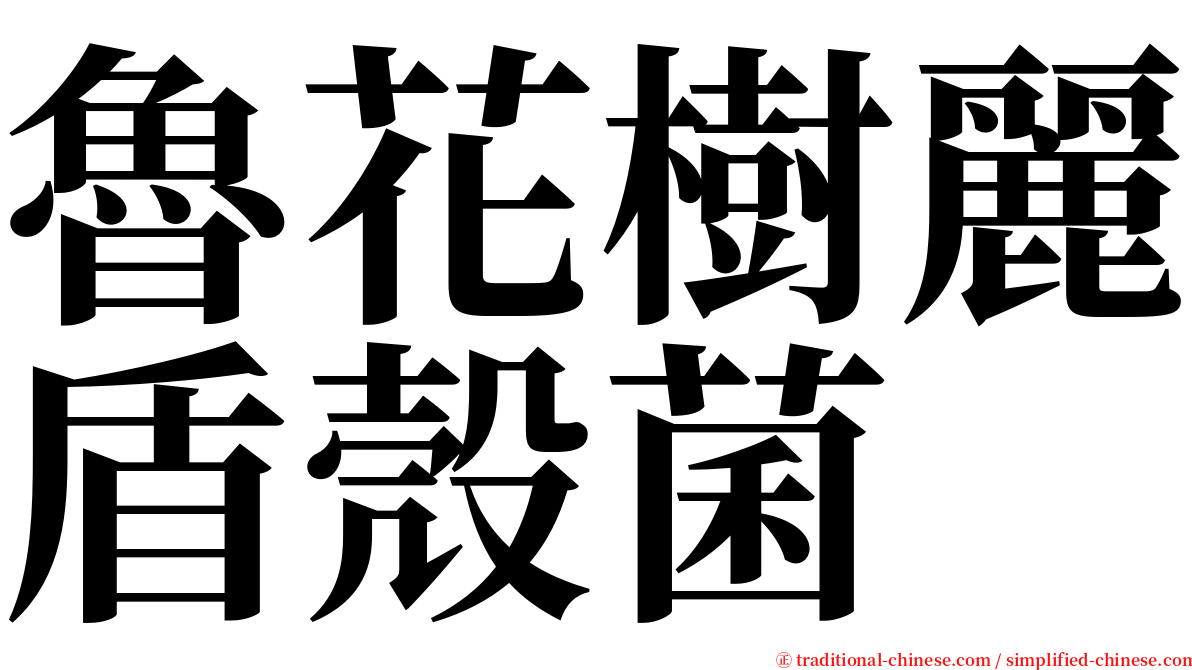 魯花樹麗盾殼菌 serif font