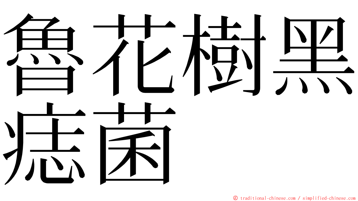 魯花樹黑痣菌 ming font