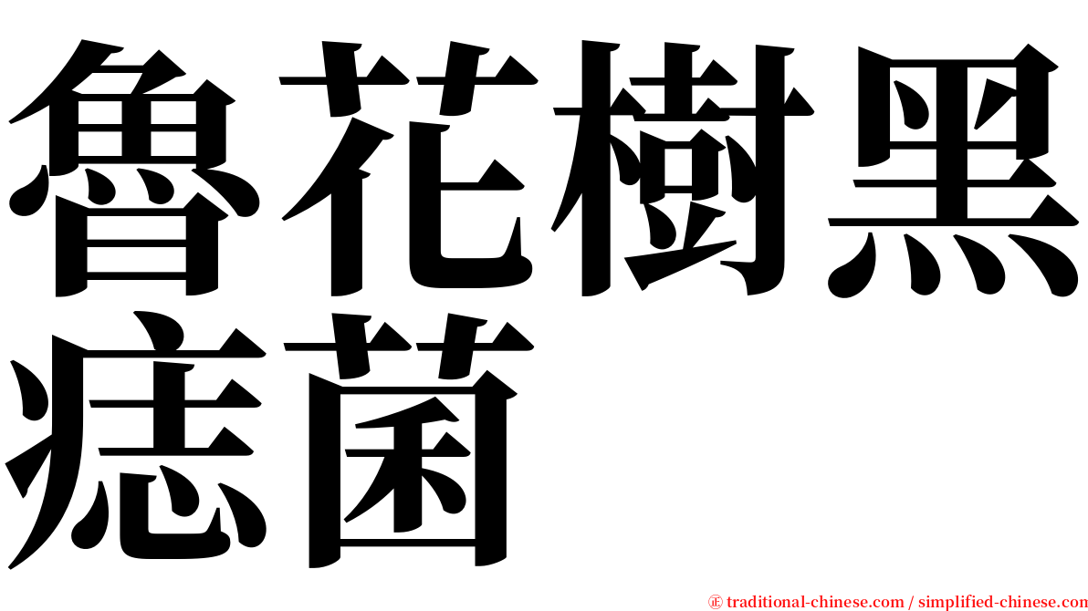 魯花樹黑痣菌 serif font