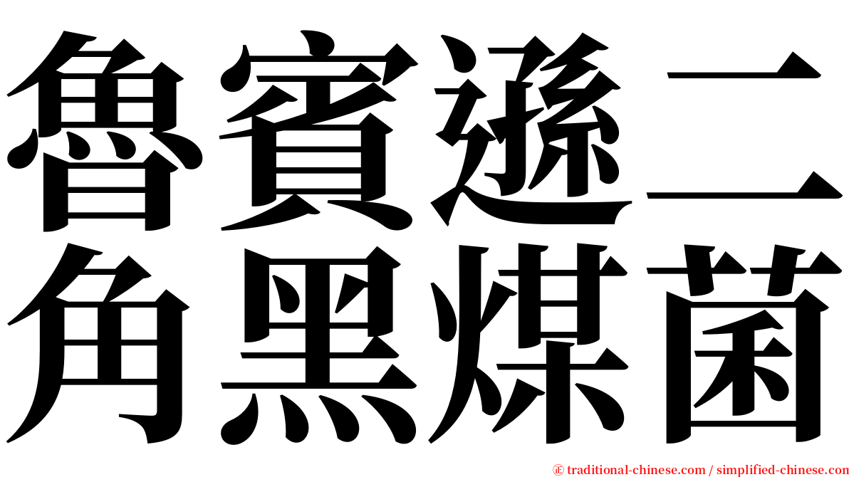 魯賓遜二角黑煤菌 serif font