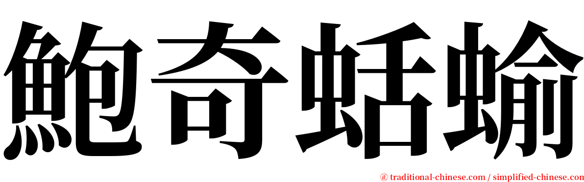 鮑奇蛞蝓 serif font